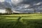 Path Through A Summer Hayfield