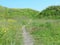 Path in sunny green meadow on the hills, Suomenlinna, Finland