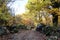 Path surrounded by chestnut trees and rocks at the start of the chestnut tree route in Rozas de Puerto Real, Madrid. Spain