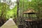 Path surrounded by trees next to a cabin in Bang Kayak, the largest mangrove forests in Cambodia and Asia.