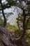 Path thru Samaria gorge