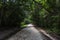 Path in Tikal Park. Sightseeing object in Guatemala with Mayan Temples and Ceremonial Ruins