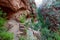 Path to Angels Landing in Zion National park, Utah, USA