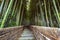 Path to bamboo forest, Arashiyama,