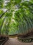 Path to bamboo forest, Arashiyama, Kyoto, Japan