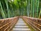 Path to bamboo forest, Arashiyama, Kyoto, Japan