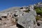 Path to the Ben Nevis summit