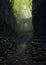 The Path to the Creepy Dungeon: A View of the Narrow, Overgrown