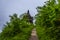 Path to the Emperor Kaiser William Monument through the forest at Porta Westfalica