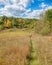 Path to Fall, Bald Mountain Recreation Area, Orion, MI