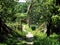 Path to the farmhouse through the garden