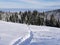 Path to the forest of fir trees full of snow