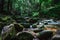 Path to the geroldsau waterfalls of the black forest Schwarzwald, Baden-Wuerttemberg, Germany