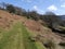 Path to Johnny Wood near Seatoller, Lake District