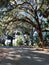 The path to the lake at Trimble Park in Mount Dora, Florida