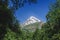 The path to the majestic mountain Kazbek with a snowy peak among the deciduous trees in the summer.