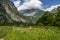 Path to Obersee Lake behind the Watzmann massif, Salet at Koenigssee, Berchtesgaden National Park, Bavaria, Germany