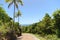 Path to a paradisiacal beach in the middle of dense coastal vegetation