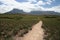 A path to Roraima