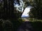 Path to Ross Castle and Lough Leane