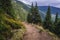 Path to Sniezka Mountain