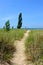 Path to St. Joseph Lighthouse