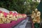 Path to the Ten Thousand Buddhas Monastery in Hong Kong