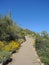 Path to Tonto National Monument