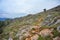 A path to the top ot the mountain at national park near Jaen, a town at Andalusia