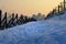 The path to Torrechiara Castle covered by snow