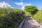 Path to Tortuga Bay on Santa Cruz in the Galapagos Islands