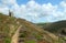 Path to Tywarnhayle tin mine engine house Cornwall