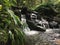 Path to Uluwehi Falls, Secret Falls in Summer in Wailua on Kauai Island in Hawaii.