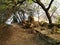 Path to the white cave in Beit Guvrin