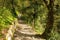 Path in Tolmin Gorge, Slovenia