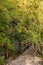 Path in Tolmin Gorge, Slovenia