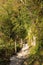 Path in Tolmin Gorge, Slovenia