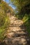 Path in Tolmin Gorge  Slovenia