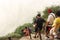 Path with tourists at Hua Shang Mountain in China