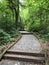 Path towards the Altenburg Castle