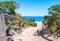 path towards the sea through the beach