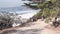 Path, trail or footpath, ocean beach, California coast. Waterfront pine cypress.