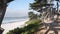 Path, trail or footpath, ocean beach, California coast. Waterfront pine cypress.