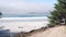 Path, trail or footpath, ocean beach, California coast. Waterfront pine cypress.