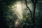 Path Trail on a luxuriant tropical Jungle forest with beautiful morning lighting. Forest trail in the Jungle. Ai generated