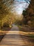 Path through trees in dappled sunlight in autumn, North Yorkshire, England