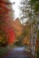 Path and trees during Indian Summer in Quebec, Canada