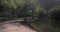 Path among the trees near pond. Trang An, Vietnam