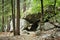 Path trees Rock tunnel Yosemite National Park