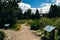 Path trough Alpine Garden, city of Breckenridge Colorado USA